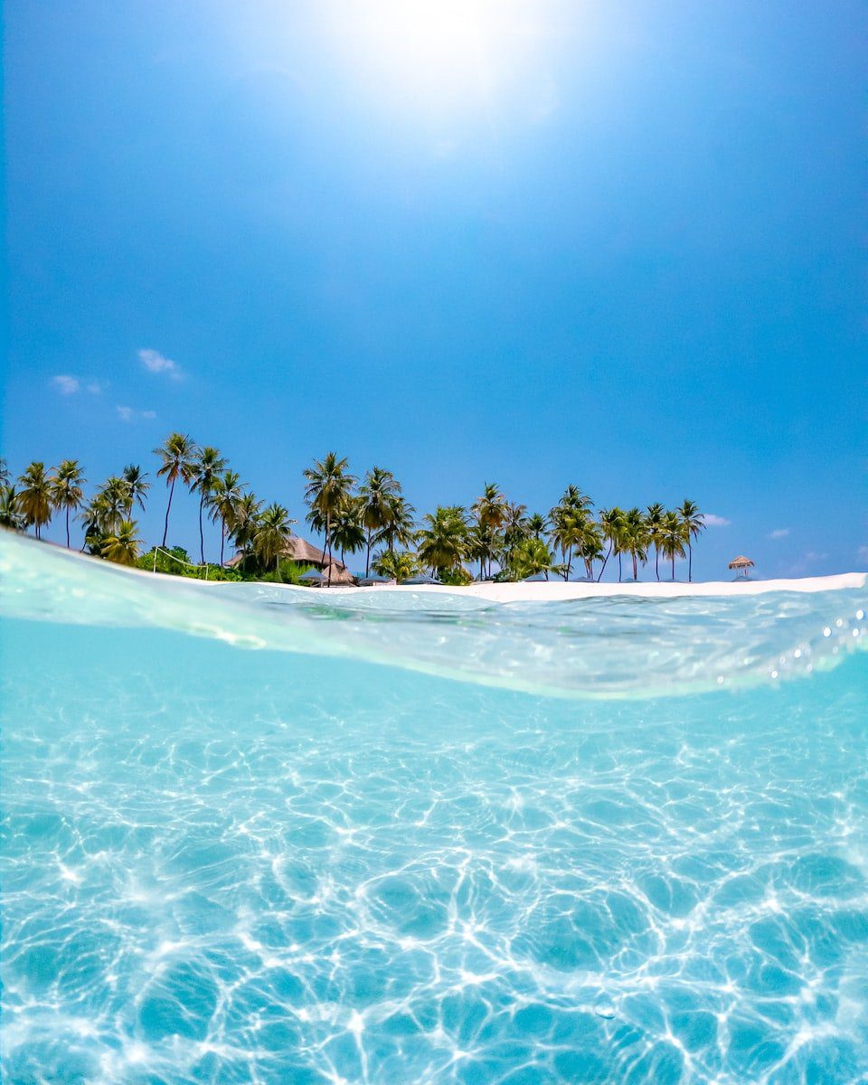 crystal clear water near coconut trees under the sun